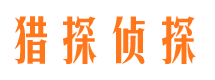 沙坡头市场调查